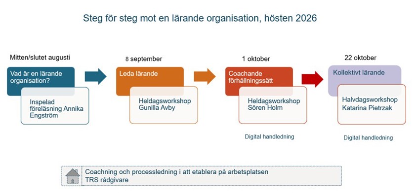 Steg för steg process