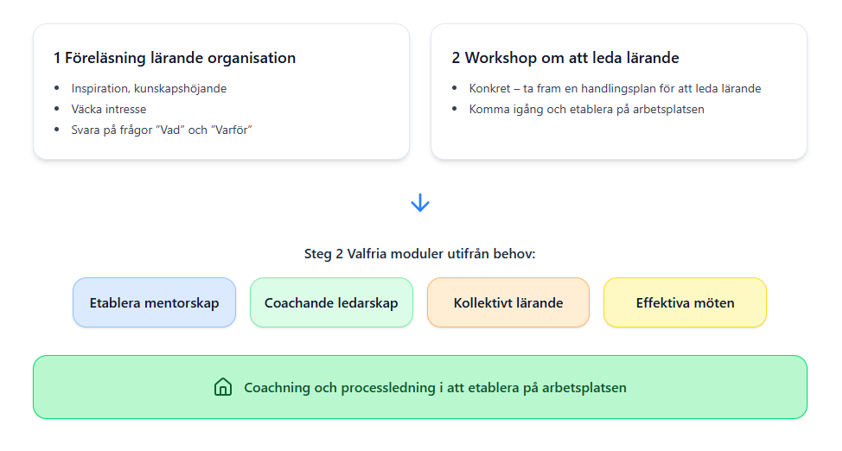 illustration program steg för steg